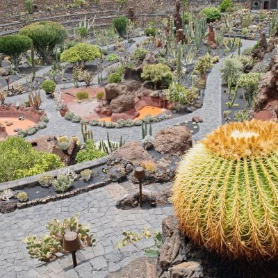 The Cactus Garden, Lanzarote