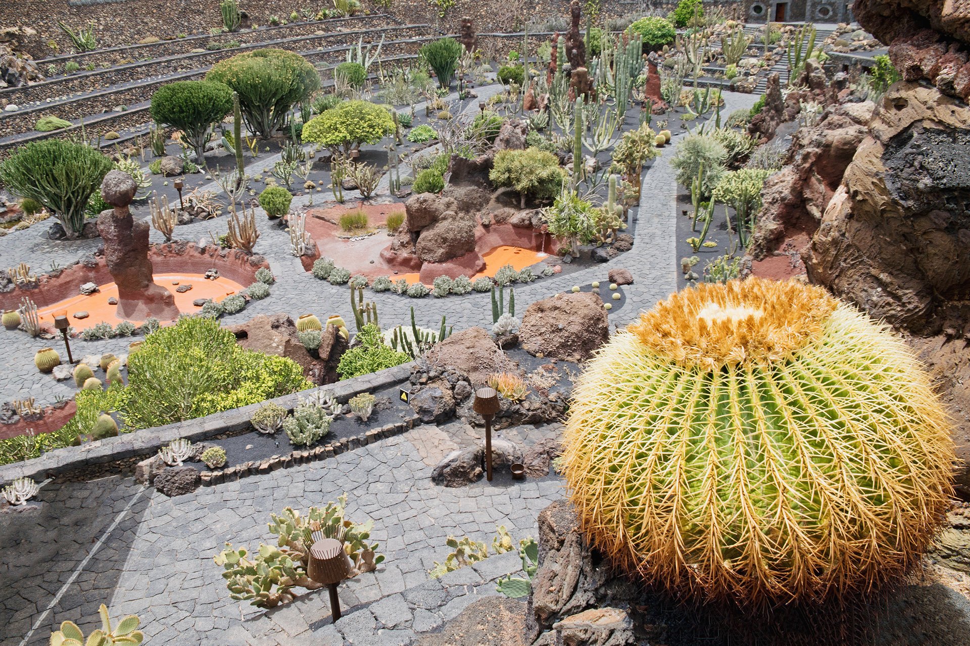 The Cactus Garden LanzaroteGuide