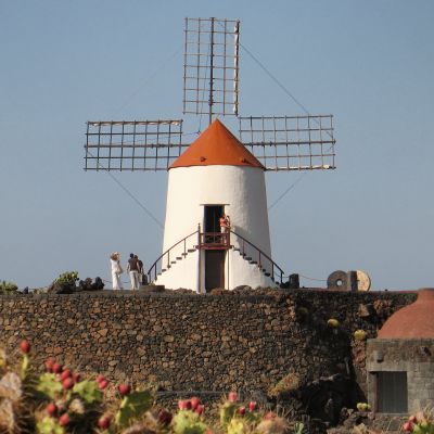 Windmill, Cactus Garden, Lanzarote