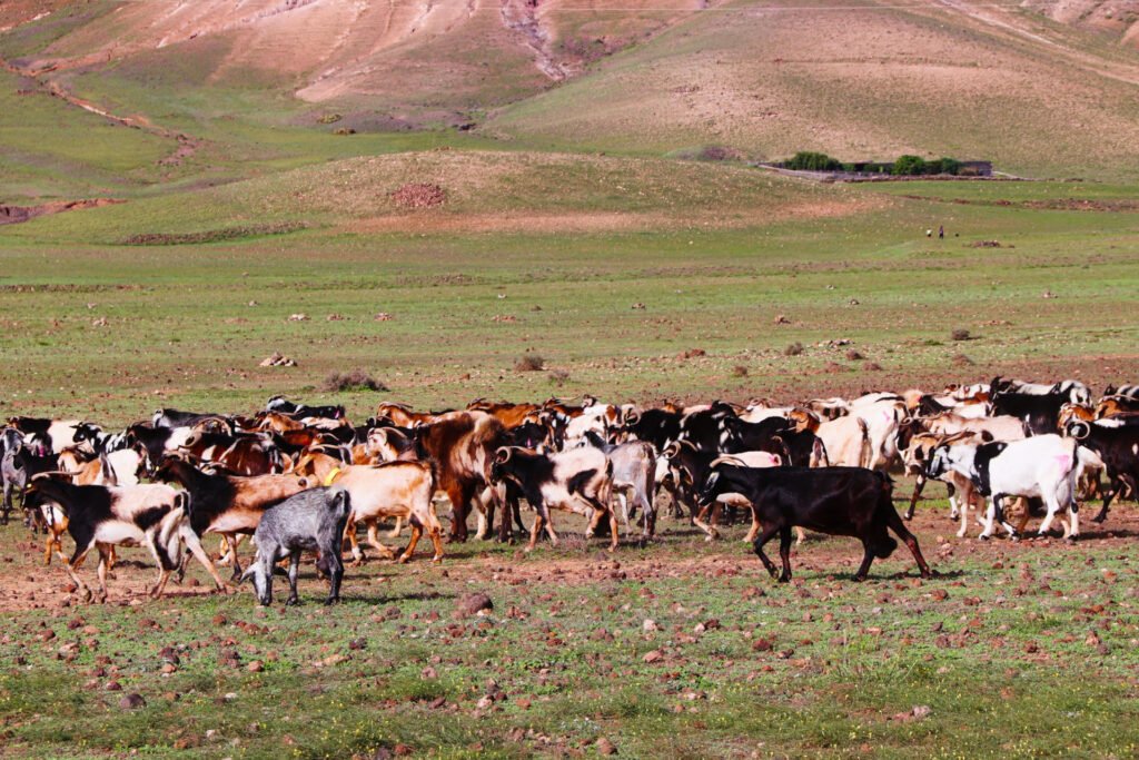 March Weather in Lanzarote